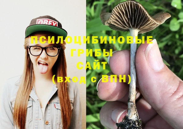 бутират Михайловск