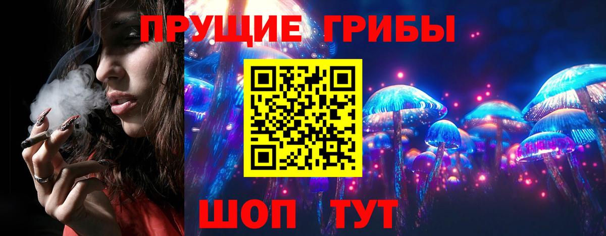 Камень-на-Оби  где можно купить наркотик  Вход с VPN  Псилоцибиновые грибы Magic Shrooms 