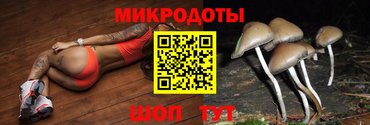 Галлюциногенные грибы MAGIC MUSHROOMS  Псилоцибиновые грибы прущие грибы  Камень-на-Оби 